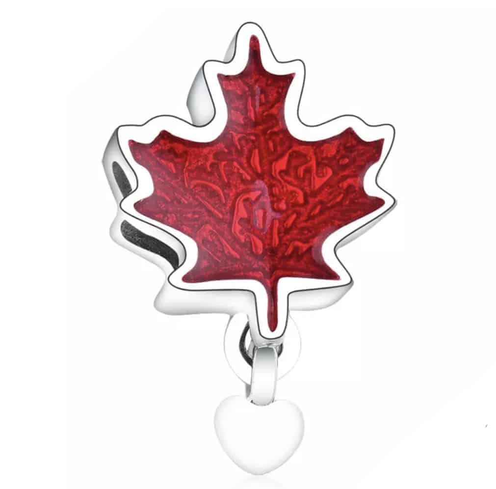 maple leaf in